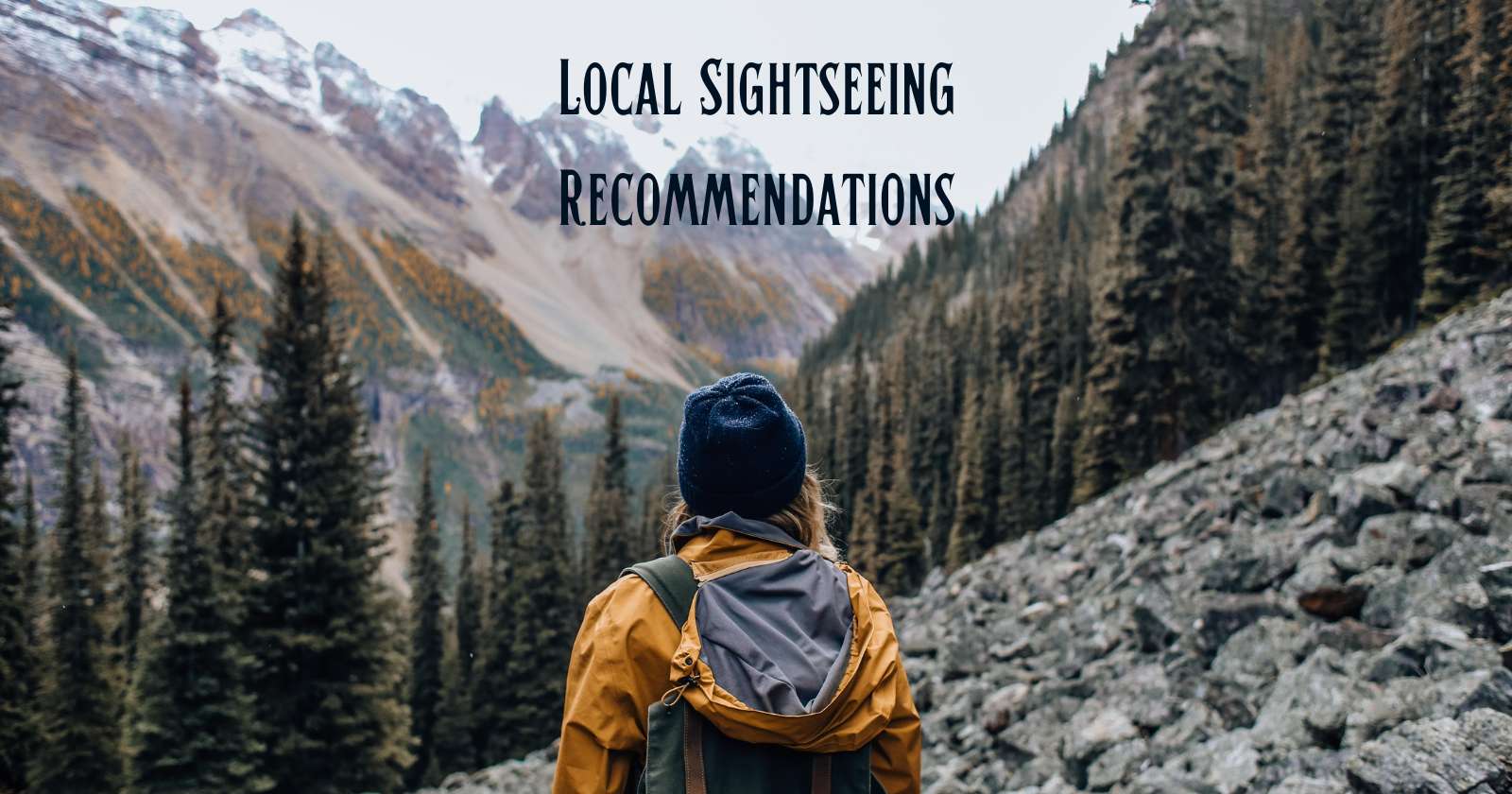 Local Recommendations and Insights